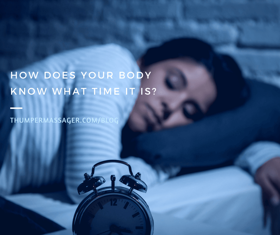 How does your body know what time it is?