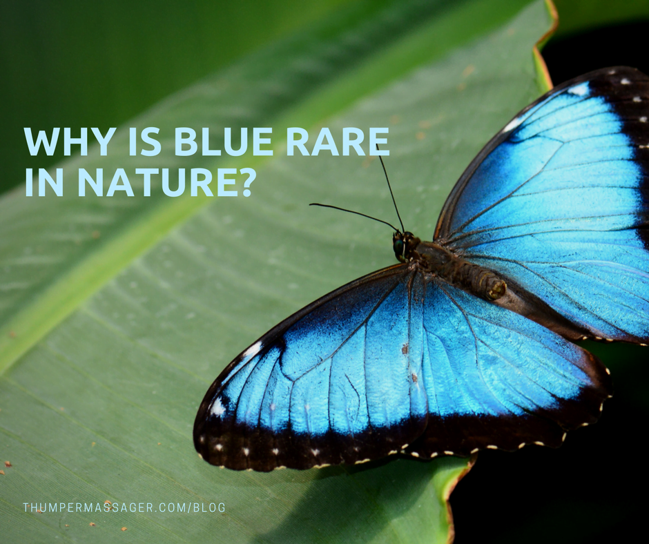 Why is blue rare in nature?